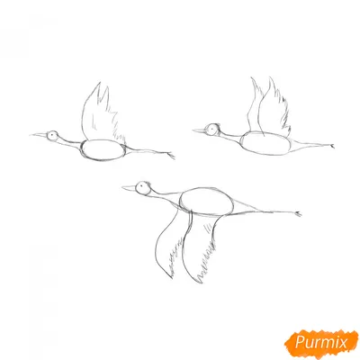Как нарисовать улетающих птиц осенью поэтапно 2 урока