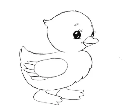 Как нарисовать птиц? Простые уроки рисования для детей! | Педагог-психолог  Елена | Дзен