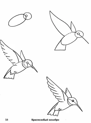 Иллюстрация 2 из 18 для Как нарисовать птицу - Жак Превер | Лабиринт -  книги. Источник: Лабиринт