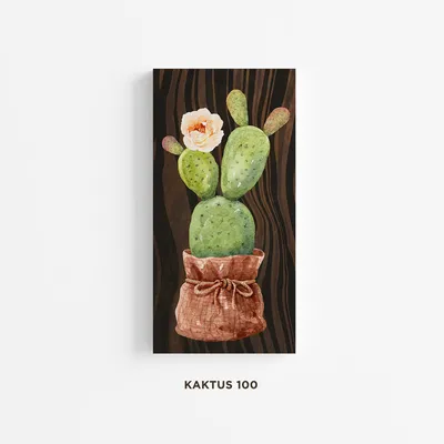 : artboxONE Poster mit schwarzem Rahmen 75x50 cm Natur Kaktus mit  Blüte im Topf - Bild Kaktus blüte cacteen