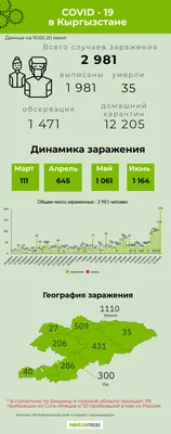 Кактус- 7, Живые растения в Воронеже, купить по цене 1100 RUB, Суккуленты,  кактусы в WOW STUDIO с доставкой | Flowwow