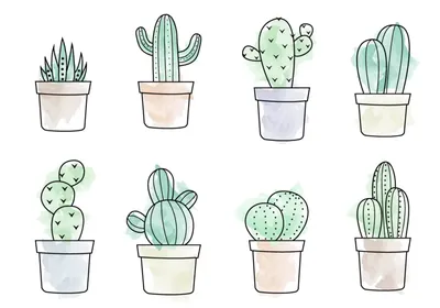 □ Art, картинки для срисовки, личные дневники□ | VK | Cactus drawing,  Cactus art, Cactus