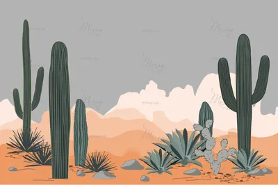 Блог - 20 метров в высоту: огромные кактусы пустыни Сонора, в которых живут  совы | Кактус, Сова, Цветочные горшки