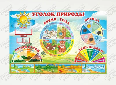 Стенд "Календарь природы" с погодой, часами, временем суток и днями недели  Стенды для детских садов ДОУ и школ