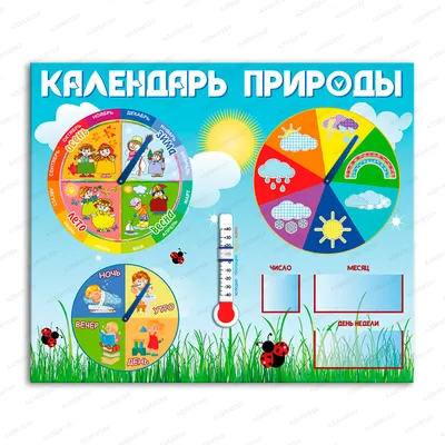 Календарь природы из набора "Петушок" купить в Иваново