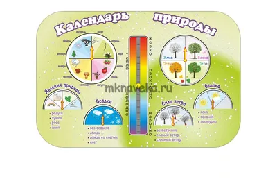 Бизиборд (дидактическая панель) настенный КАЛЕНДАРЬ ПРИРОДЫ. Серия  ЭКОЛОГИЧЕСКОЕ ВОСПИТАНИЕ