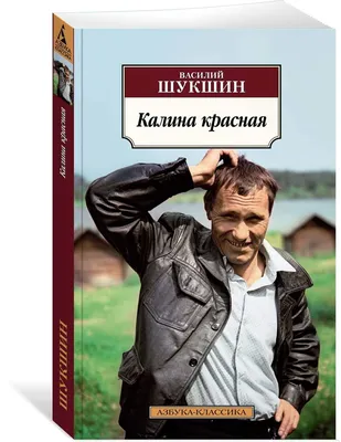 Книга Калина красная: киноповести - купить классической литературы в  интернет-магазинах, цены на Мегамаркет | 7481294