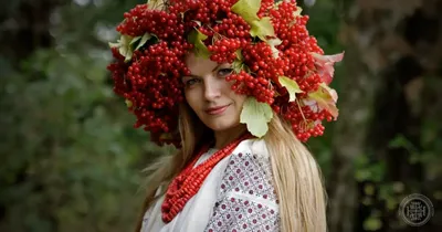 Discover the Beauty of Ukrainian Kalyna Tree