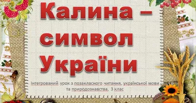 Калина – символ України | Донецький обласний палац дитячої та юнацької  творчості