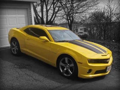 Review: 2019 Chevrolet Camaro SS 1LE 2SS Drive It Like You Stole It –  Mike's Steering Column