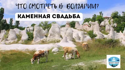 Клубничная/каменная свадьба (33 года) — смс поздравления - лучшая подборка  открыток в разделе: Свадьба на 