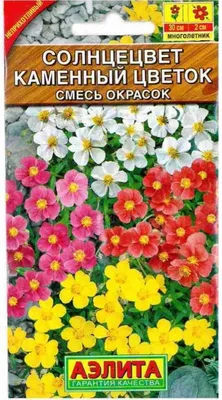 Фонтан Каменный цветок — Узнай Москву