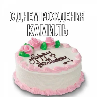 _vizit on Instagram: "Торт «Камиль» 🎂 Бисквитно-меренговый с  шоколадом 🍫🍫🍫 ______ Размер 30/40"