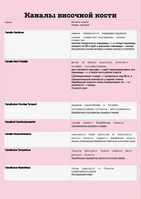 КАНАЛЫ ВИСОЧНОЙ КОСТИ или как понять одну из неЛЮБИМЫХ тем  студентов-медиков� | Медвуза | Медвуза