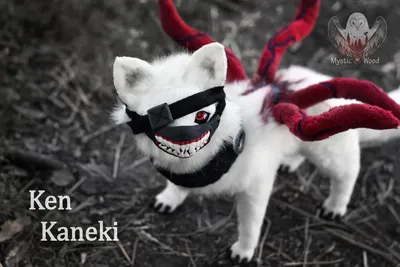 Tokyo Ghoul, Токийский Гуль, Kaneki Ken, Канеки Кен | Пикабу