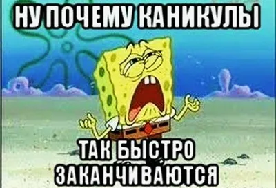 Декада дорожной безопасности «Внимание, каникулы!» | МБУ ДО СШ  "Единоборства" Конаковского района