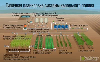 Капельный полив и орошение в промышленных масштабах от 1 до 500 Га •  Сад/Огород • Блог • Электроинструменты, инструменты для электрика, садовый  и хозяйственный инвентарь в Гродно. Оптовые цены