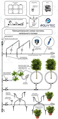 Зачем вам Капельный полив на участке • Сад/Огород • Блог •  Электроинструменты, инструменты для электрика, садовый и хозяйственный  инвентарь в Гродно. Оптовые цены