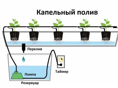 Система капельного полива, орошение, капельный полив купить, капельная  лента +для полива, таймер +для капельного полива, капельный полив растений.