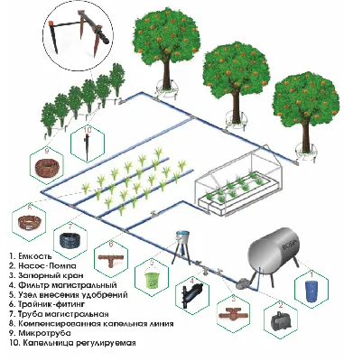 Самый лучший капельный полив. Установка еврокуба. Вся правда о капельницах.  - YouTube