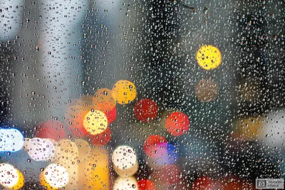 Картины Дождь "Капли дождя на стекле" - арт 009005001 | Купить в  интернет-магазине Фото в дом - Фото в дом