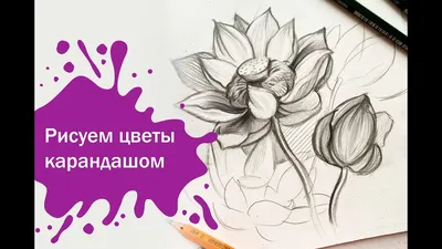 Легкие цветы для срисовки карандашом - 72 фото