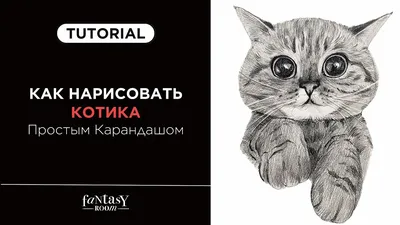 Легкий не сложный рисунок котика, …» — создано в Шедевруме