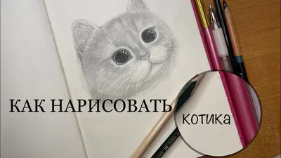 Легкие картинки котиков - 67 фото