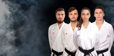 Смоленская газета - В Смоленске прошли соревнования по каратэ WKF «Кубок  Бояринова»