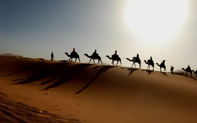 Караван пустыни: как бедуины выживали и ориентировались в бескрайних песках  Аравии | О, КУЛЬТУРивание | Дзен