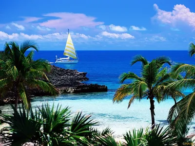 20 красивых карибских островов, которые нужно добавить в список желаний |  Знающий Лимон | Дзен
