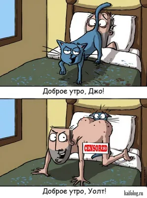 Карикатуры про котов картинки