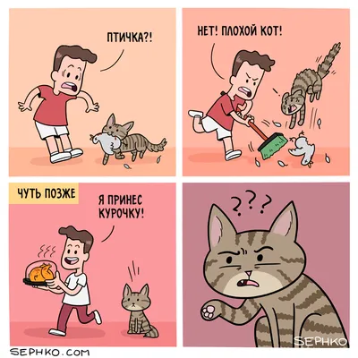 Рисунок карикатуры на кота по фотографии