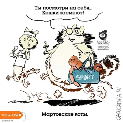 11 смешных комиксов про котов и котиков от разных авторов | Zinoink о  комиксах и шутках | Дзен