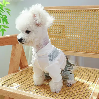 Попона Pet Fashion Blanket для маленьких собак S Пудра – купить в Киеве |  цена и отзывы в MOYO