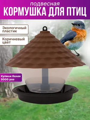 Как сделать кормушку для птиц: 50+ оригинальных идей своими руками