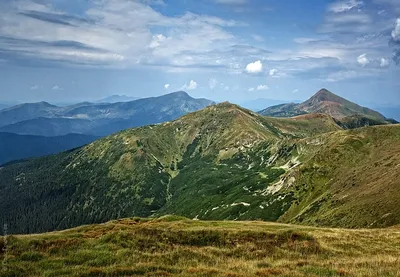 Говерла - самая высокая гора в Украинских Карпатах.