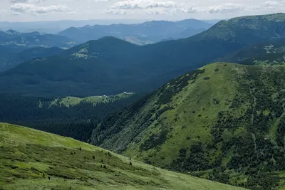 Карпатские горы,солнечное утро, …» — создано в Шедевруме