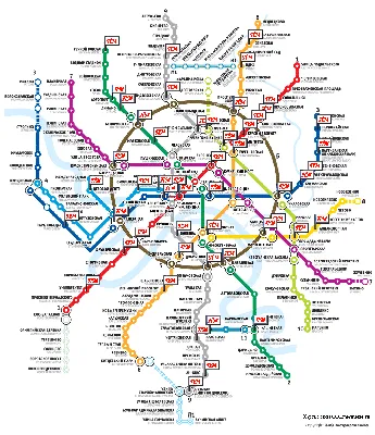 Интерактивная карта перспективного развития метро в Москве согласно  официальным планам | Владислав Панкратов | Дзен