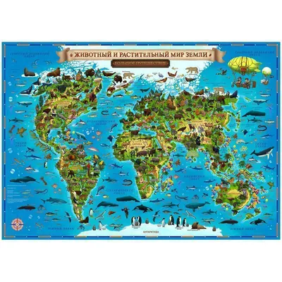 Мультфильм животных карта мира для детей и малышей | World map wall decal,  World map decal, World map wall art