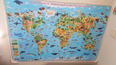 Карта мира картинки - 81 фото