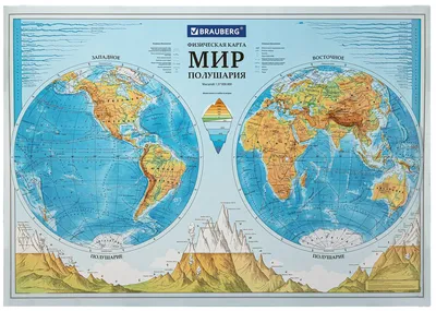 Физическая карта полушарий — купить по низкой цене на Яндекс Маркете