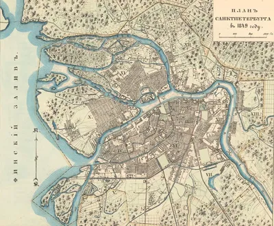 Старинная карта Санкт-Петербурга. И. Хоманн. 18 век (до 1724 года). Купить  в антикварном магазине "Терция"