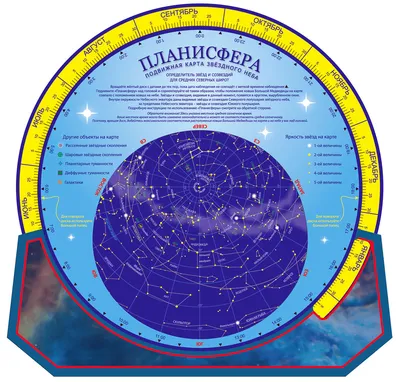 Большая карта звездного неба полушария с названиями созвездий. Купить в  магазине карт
