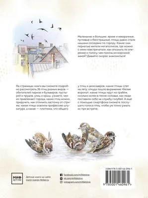 Раскраска Кормушка для птиц Часть 1 — Мир раскрасок