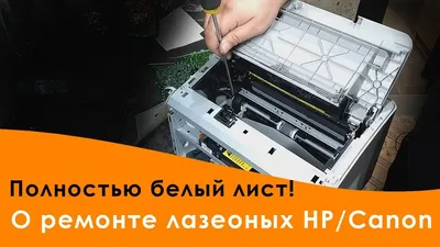 Постер Черно-Белый Лист купить в интернет-магазине Postermarkt