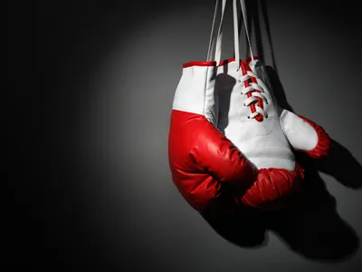 Лучшие боксерские перчатки, ТОП-10 перчаток для бокса 2021