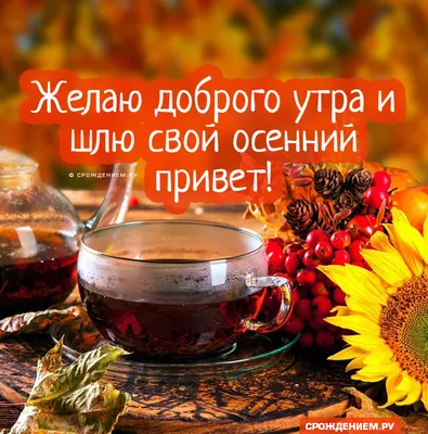 С добрым осенним утром!☕️ Отличного дня!☂️🍁 Супер Песня! Красивая  музыкальная открытка Доброе Утро! - YouTube