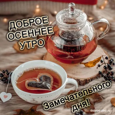 Доброе осеннее утро! ... - Удивительная природа | Facebook