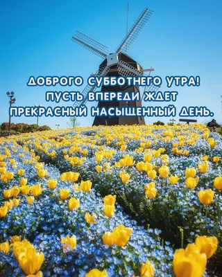 Доброго субботнего утра! Выпить кофе…» — создано в Шедевруме